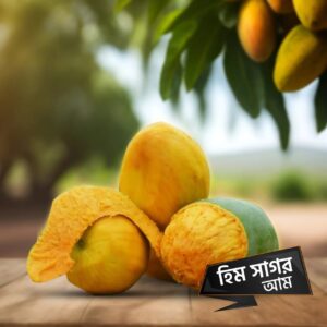আমের রাজা "হিমসাগর" ২০ কেজির ক্যারেট